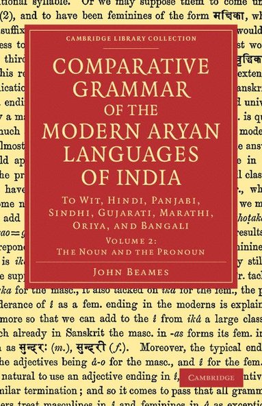 bokomslag Comparative Grammar of the Modern Aryan Languages of India