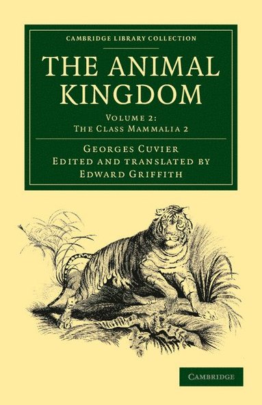bokomslag The Animal Kingdom - Volume 2