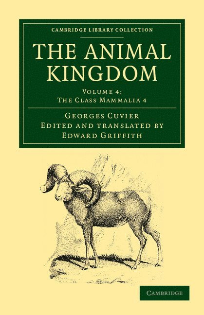 The Animal Kingdom