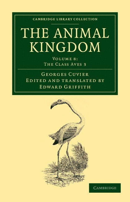 The Animal Kingdom 1