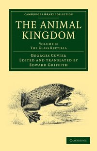bokomslag The Animal Kingdom