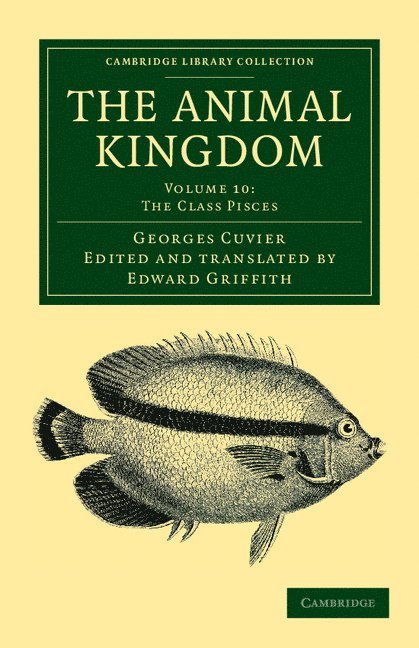 The Animal Kingdom 1