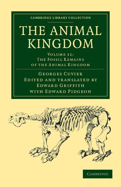 The Animal Kingdom 1