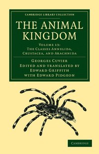 bokomslag The Animal Kingdom