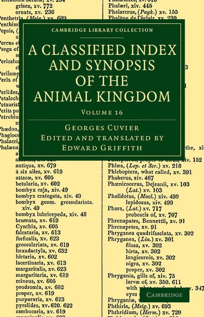 A Classified Index and Synopsis of the Animal Kingdom 1