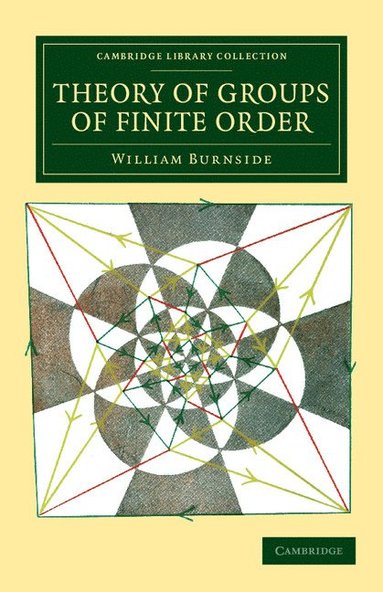 bokomslag Theory of Groups of Finite Order