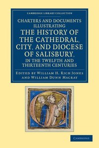 bokomslag Charters and Documents Illustrating the History of the Cathedral, City, and Diocese of Salisbury, in the Twelfth and Thirteenth Centuries