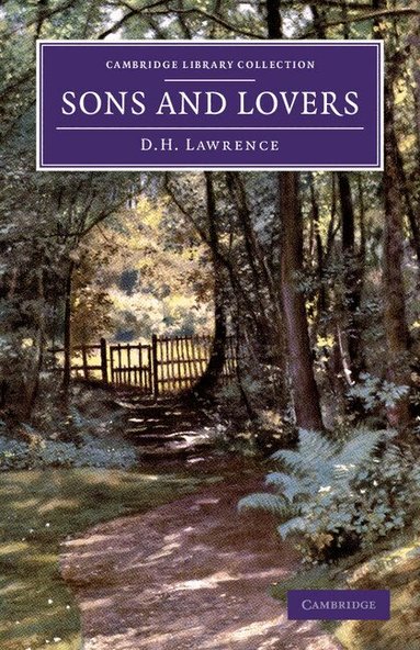 David Herbert Lawrence - Sons and Lovers, Häftad