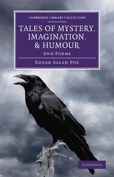 bokomslag Tales of Mystery, Imagination, and Humour