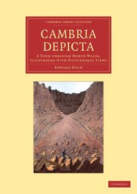 bokomslag Cambria Depicta