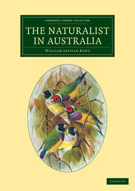 William Saville-Kent - The Naturalist in Australia, Häftad