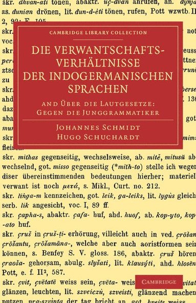 bokomslag Die Verwantschaftsverhltnisse der indogermanischen Sprachen