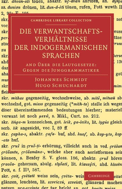 Die Verwantschaftsverhältnisse der indogermanischen Sprachen