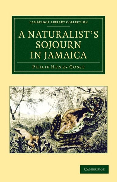 bokomslag A Naturalist's Sojourn in Jamaica