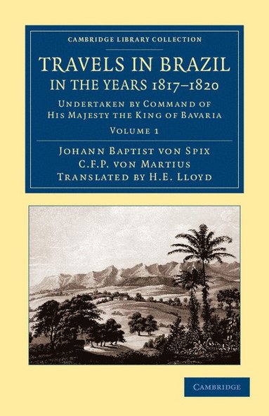 bokomslag Travels in Brazil, in the Years 1817-1820