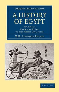 bokomslag A History of Egypt: Volume 3, From the XIXth to the XXXth Dynasties