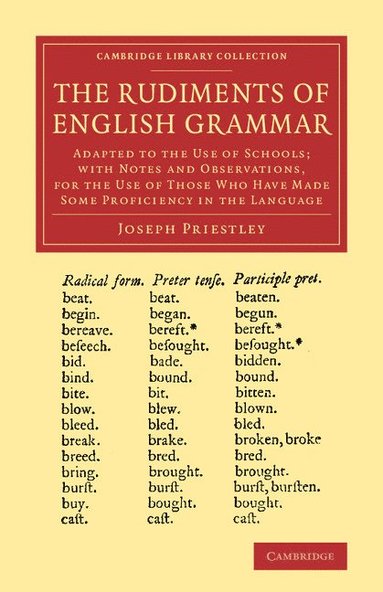 bokomslag The Rudiments of English Grammar