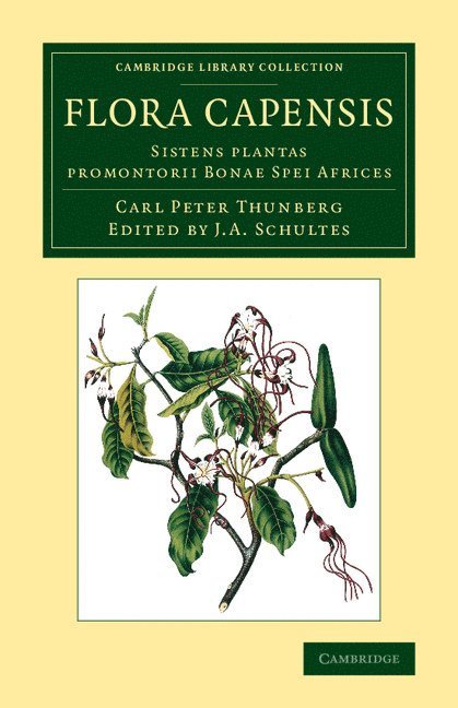 Carl Peter Thunberg, J. A. Schultes, I. A. Schultes - Flora Capensis, Häftad