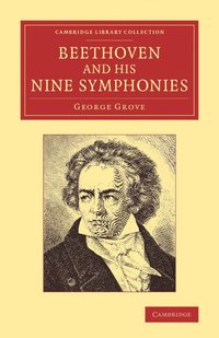 bokomslag Beethoven and his Nine Symphonies