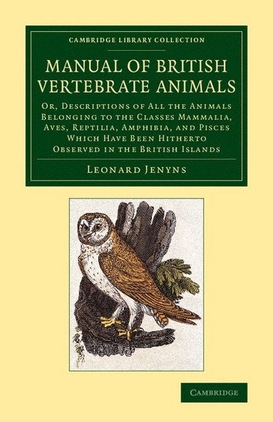 bokomslag A Manual of British Vertebrate Animals: Or, Descriptions of All the Animals Belonging to the Classes Mammalia, Aves, Reptilia, Amphibia, and Pisces