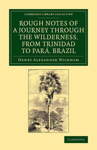 bokomslag Rough Notes of a Journey Through the Wilderness, from Trinidad to Para, Brazil