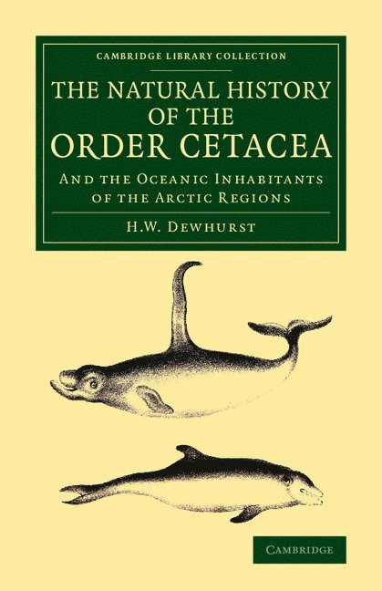 H. W. Dewhurst - The Natural History of the Order Cetacea, Häftad