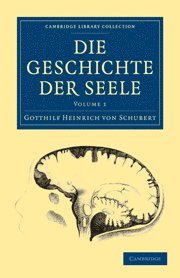 bokomslag Die Geschichte der Seele