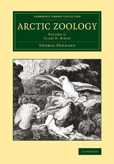 bokomslag Arctic Zoology