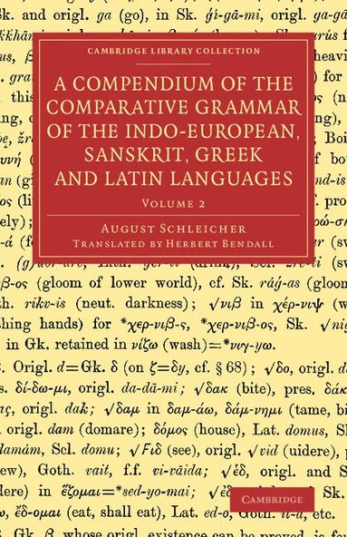 bokomslag A Compendium of the Comparative Grammar of the Indo-European, Sanskrit, Greek and Latin Languages: Volume 2