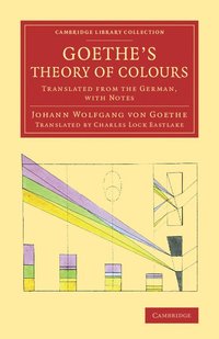 bokomslag Goethe's Theory of Colours