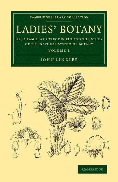 bokomslag Ladies' Botany