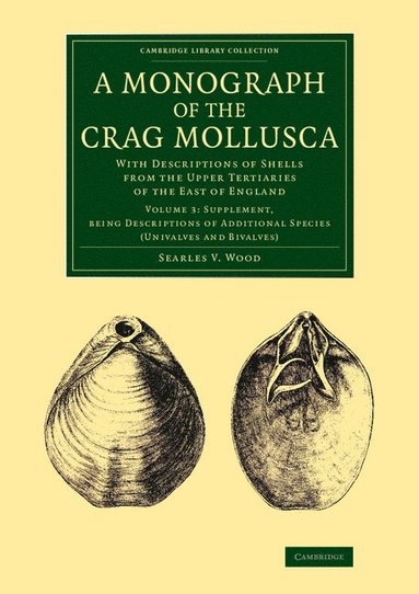 bokomslag A Monograph of the Crag Mollusca