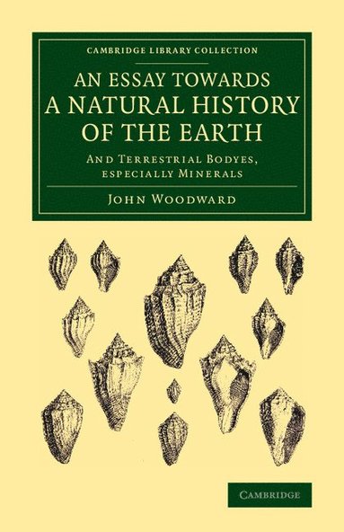bokomslag An Essay towards a Natural History of the Earth