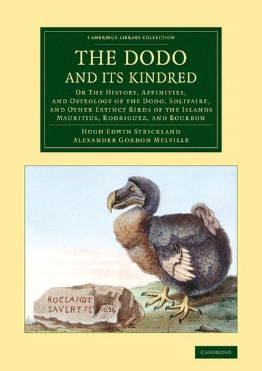 bokomslag The Dodo and its Kindred