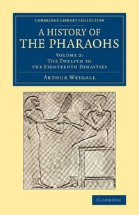 bokomslag A History of the Pharaohs