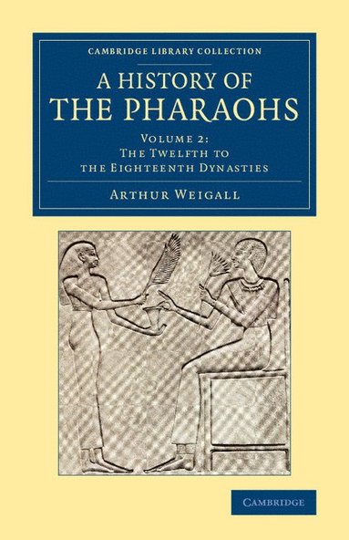 bokomslag A History of the Pharaohs