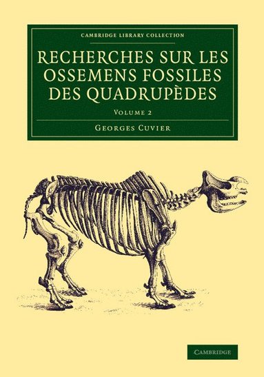 bokomslag Recherches sur les ossemens fossiles des quadrupedes