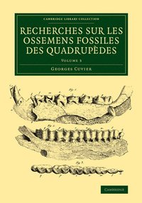 bokomslag Recherches sur les ossemens fossiles des quadrupdes