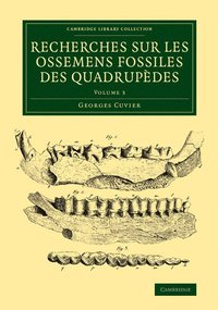 bokomslag Recherches sur les ossemens fossiles des quadrupedes