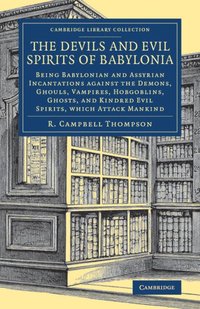 bokomslag The Devils and Evil Spirits of Babylonia