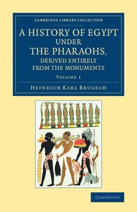 bokomslag A History of Egypt under the Pharaohs, Derived Entirely from the Monuments: Volume 1