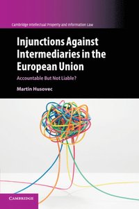 bokomslag Injunctions against Intermediaries in the European Union