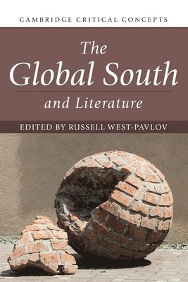 bokomslag The Global South and Literature