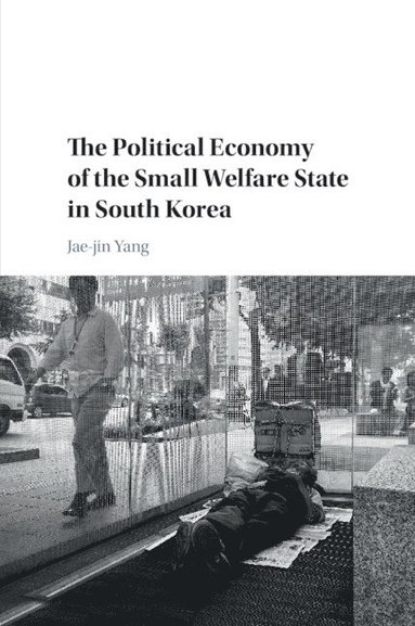 bokomslag The Political Economy of the Small Welfare State in South Korea