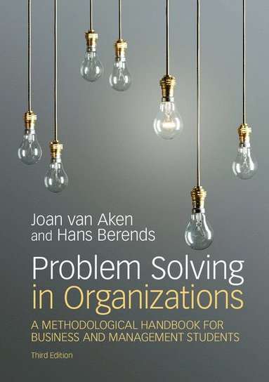 bokomslag Problem Solving in Organizations