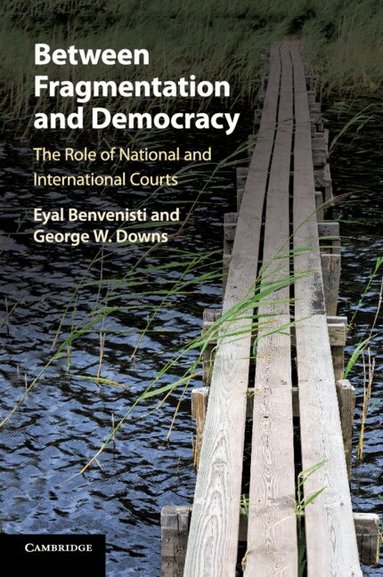 Eyal Benvenisti, George W. Downs - Between Fragmentation and Democracy, Häftad