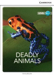 bokomslag Deadly Animals Level A1+ SEP Edition