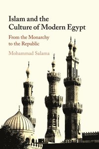 bokomslag Islam and the Culture of Modern Egypt