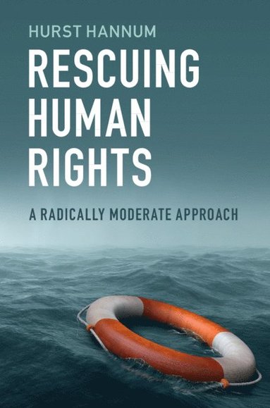 bokomslag Rescuing Human Rights