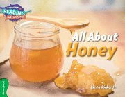 bokomslag Cambridge Reading Adventures All About Honey Green Band